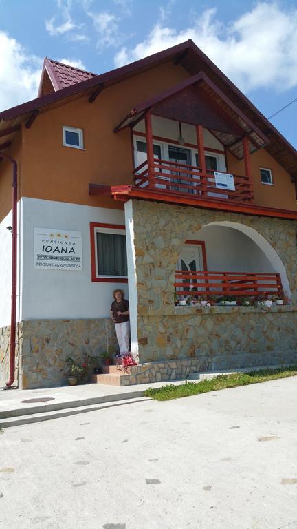 Pensiunea Agroturistica Ioana Bradulet Extérieur photo